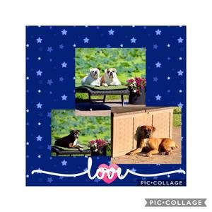 Meet your Posher, Sheila